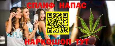 сатива Анжеро-Судженск
