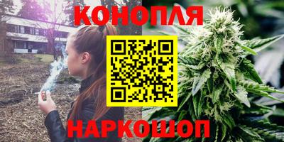 сатива Анжеро-Судженск