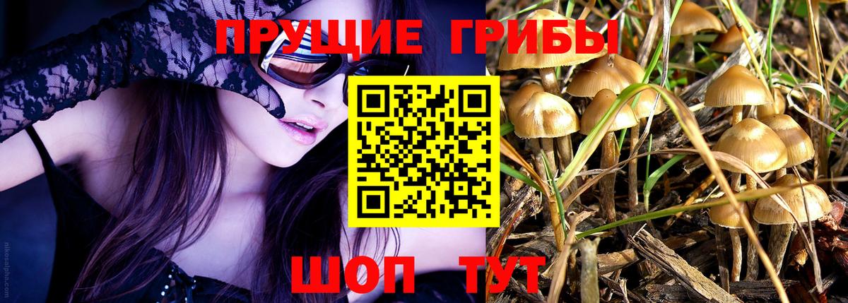 Галлюциногенные грибы ЛСД Владикавказ